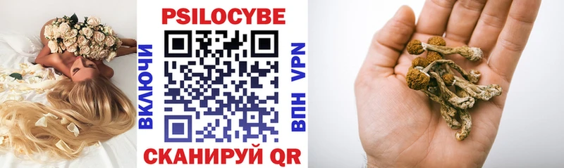 Галлюциногенные грибы Psilocybe  Новошахтинск 